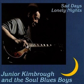 I'm In Love by Junior Kimbrough