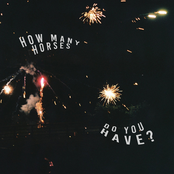 How Many Horses Do You Have?