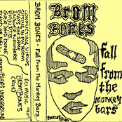 Fall From the Monkey Bars