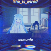 somunia - domestic dog