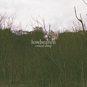 lowheaven: cancer sleep