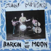 Barkin At Moon