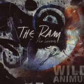 Wild Animus: The Ram