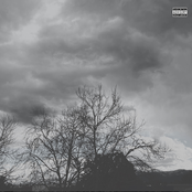 Heroin Addict Bundle - Single