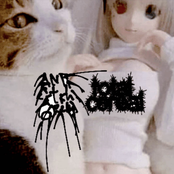 Total Cereal Side of Split W/ Anti Itch Cream