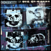 (NON)ENTITY
