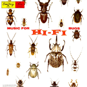 Music for Hi-Fi Bugs