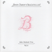 John Zorn's Bagatelles (Vol. 5-8)