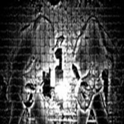 The Black Rise (Demo)