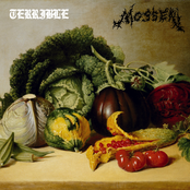 Terrible / Mossen Split
