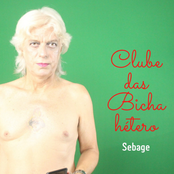 Clube das Bicha Hétero