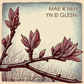 Mae'r Nen Yn Ei Glesni