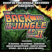 Back To The Jungle - Part 2