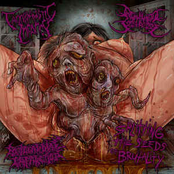 Splitting The Seeds Of Brutality (Split)