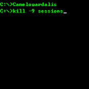 kill -9 sessions