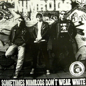 Sometimes Nimrods don't Wear White