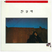 한영애