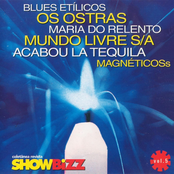 Coletânea Revista ShowBizz Vol. 5