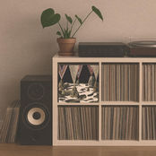 too bright to see // too loud to hear