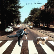 I Wanna Be Your Man by Paul Mccartney