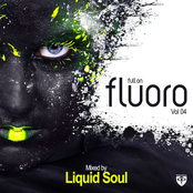 Full On Fluoro Vol 4 (Mixed by Liquid Soul)