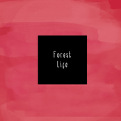 McCafferty: Forest Life