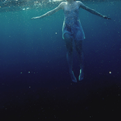 Flower Face: The Shark in Your Water