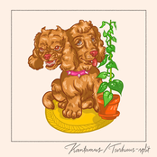 KANTAMUS / TURHUUS -SPLIT