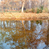 Do aliens have dirty teeth [EP]