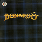Bonaroo