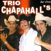 Trio Chapa Hall's (Ao Vivo)