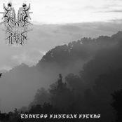 Endless Funeral Fields