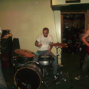 Paper Tiger Sessions