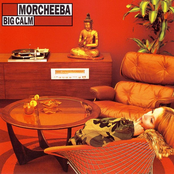 Bullet Proof by Morcheeba