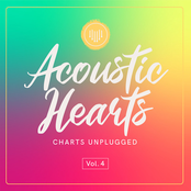 Charts Unplugged, Vol. 4