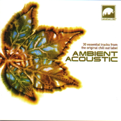 Ambient Acoustic