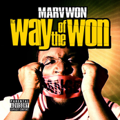 The Way Of The Won