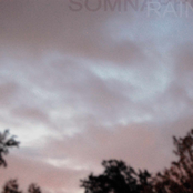 Rain 1