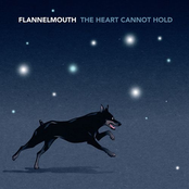 Anyone Could Be Anyone by Flannelmouth