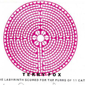 The Labyrinth Scored For The Purrs Of 11 Different Cats