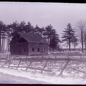 cemetery creepin on an early sunday morning
