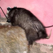 one whole person/sealy pt. 2