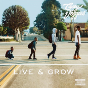 Casey Veggies: Live & Grow