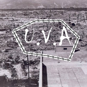 Horror Of The Forest