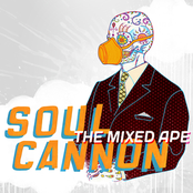 Soul Cannon: The Mixed Ape