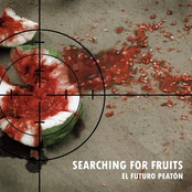 Searching for Fruits