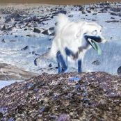 Spoken from the Burning Wood