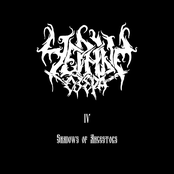 Shadows of Ancestors