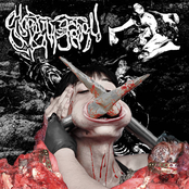 Experiments In Body Modification