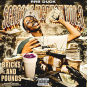 Scrooge Mcduck, Vol. 3 Bricks And Pounds